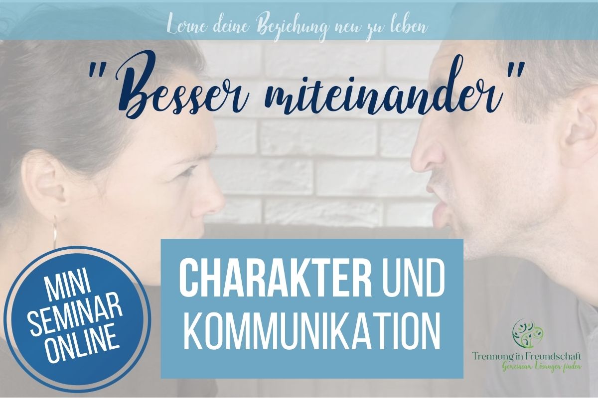 Mini Seminar "Beziehungsprobleme lösen"